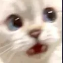 1436392153256300624