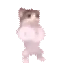 catdance catdance