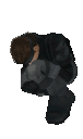 4765snakeroll