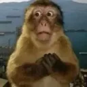 monkeyshocked