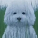 sam Discord sticker from Casa do caralho