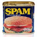 SPAM