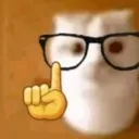 nerd_cat