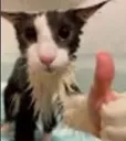 soggy