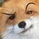 FD_FoxSus