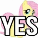 YES
