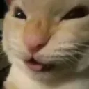 jejej