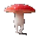shroomy