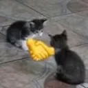 deal deal