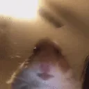 r3n2