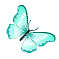 butterflycyan