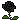 0333_black_rose_2