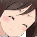 bocchinod
