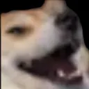 __ __