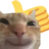 cat_thumbs_up