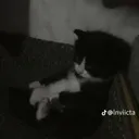 sadness