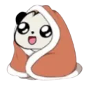 panda_cozy