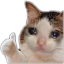 FR_cryingbutalr Discord sticker - Friends 18+ Sfw | Adults-only • active-chat • Mature • Friendly • Gaming • Lgbtq+ • Hangout