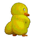 Twerking animated Discord emote - 百合好き | . 𝙁𝙪𝙙𝙖𝙣𝙨𝙝𝙞  ◞