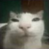 :chupacabra: