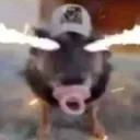 67