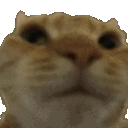 nono animated Discord emote from /Lightx | Social • Chat • VC • Emotes • Chill • Fun • Active