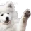 1170551660058259476