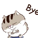amibngb5