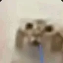 bubauh