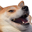 dogelaugh Discord emoji