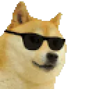 Cool_Doggo
