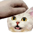 emoji_1