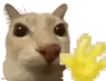 Hii