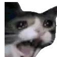 emoji_6