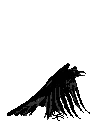 b_crow