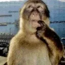 monkeythink