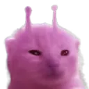 pinkgnarp