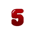 0061_num5_dns
