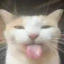 emoji_69 emoji_69