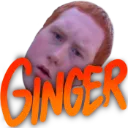 ginger
