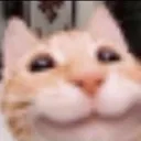 3_