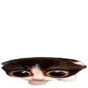 howhat