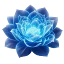 600232flower