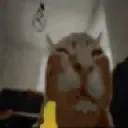 buh_fliip