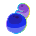 hypershuca