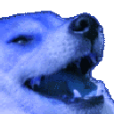 blurplekek