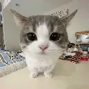 togif