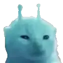 bluegnarp bluegnarp