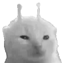 greygnarp