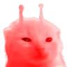 redgnarp